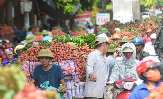 Đảm bảo an toàn phòng dịch Covid-19 cho thương nhân đến tiêu thụ vải